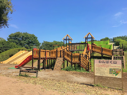 Koganei Park Energetic Mountain Playground