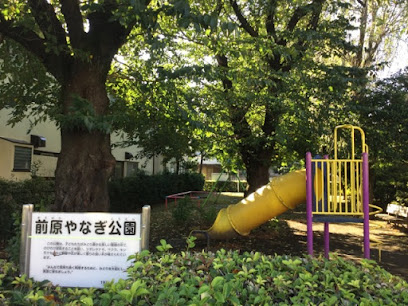 Maeharayanagi Park