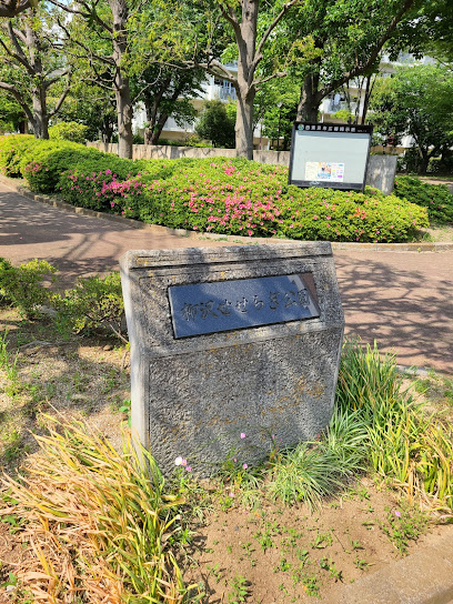 Yanagisawaseseragi Park