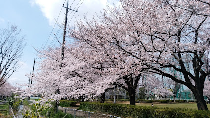 Myobana Park