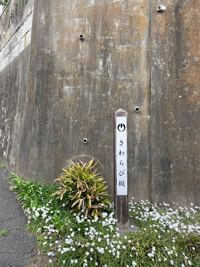 さわらび坂