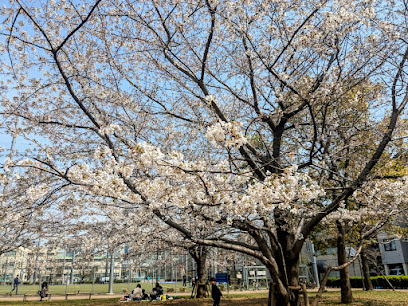 Hongo Fureai Park