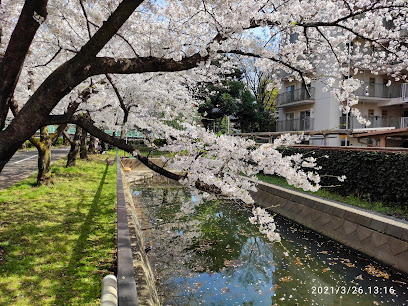Sendaiborigawa Park