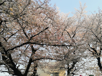 Jujo-no-mori Field