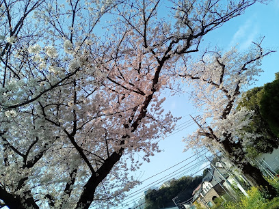 Nakamura Park