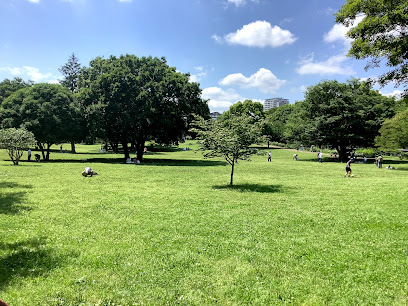 Musashi Kokubunji Park