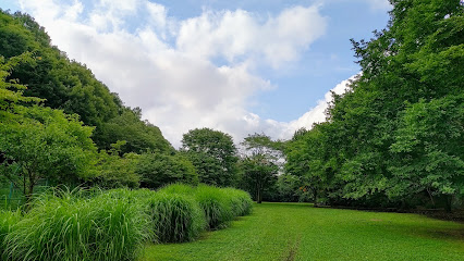 Jindai temple nature reserve