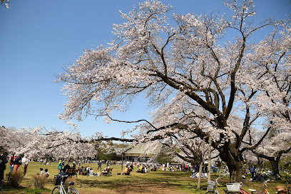 宿根草園