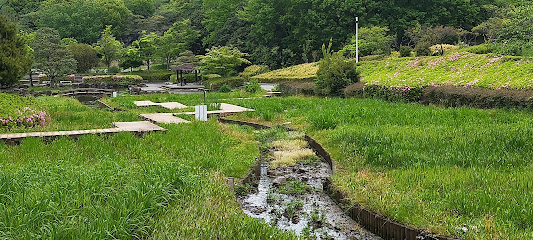 Iris Garden