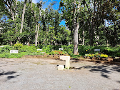 Shinjuku Central Park Citizen's Forest