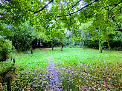 HAKE's Forest Green Zone #2