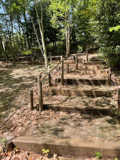 Dongurinomorikokyo Ryokuchi Park
