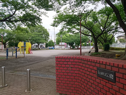 Shintaguchi Park