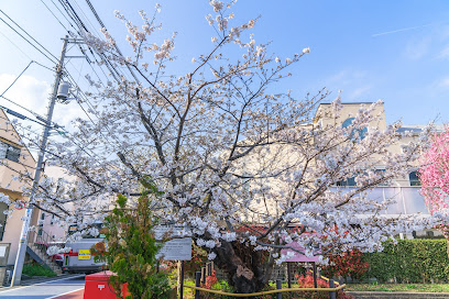 Sakuranosato Machikado Park