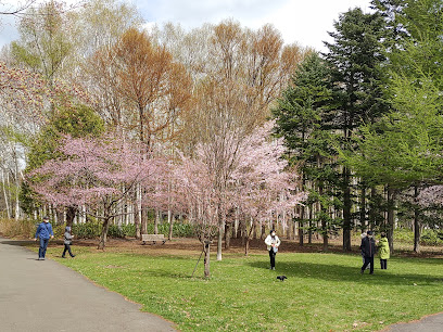Toyohira Park