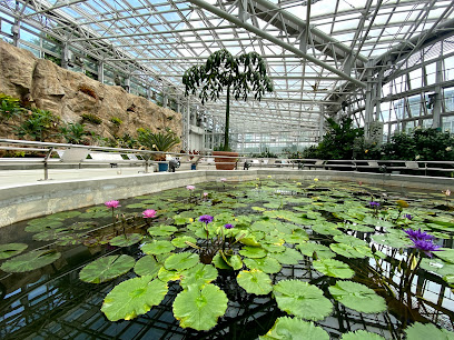 Greenhouse Jindai Botanical Garden