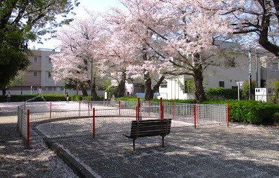 Sakura Park
