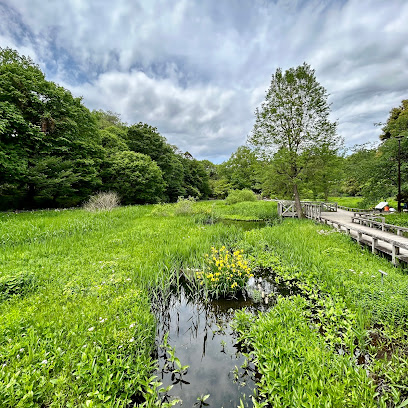 Jindai Botanical Park Aquatic Botanical Gardens