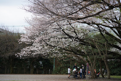 Daini Shirogane Park