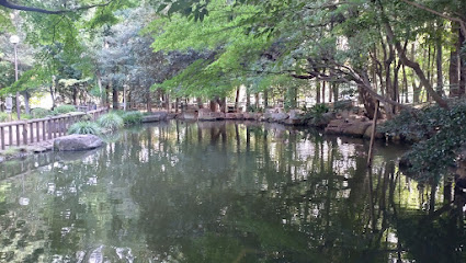 後谷公園 上の池