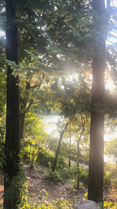 善福寺公園