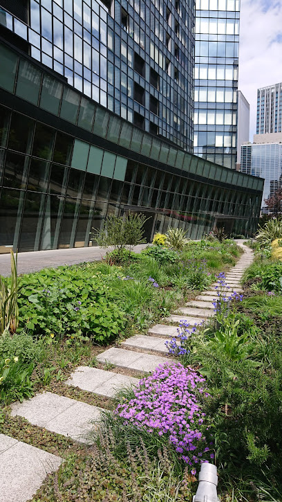 Shinjuku Central Park Open Space