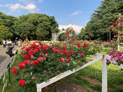 Rose Garden