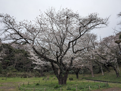 三ツ池公園 里の広場