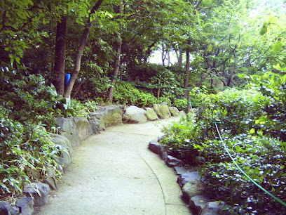 The Island Garden