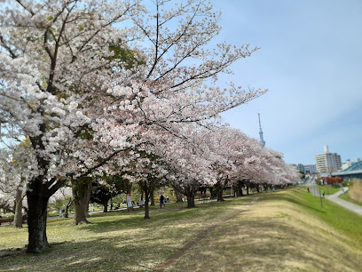 Kyunakagawamizube Park