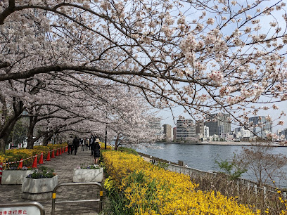 Shinkawa Park (Sumidagawa Terrace)
