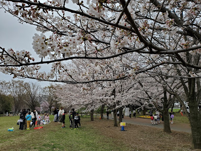 Nishitokyo Ikoi-no-mori Park