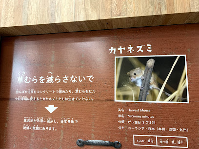 井の頭自然文化園 資料館