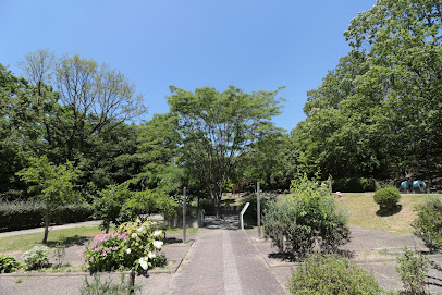 Contact Garden