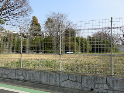 成宗城跡