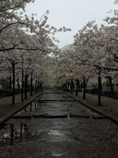 Hanakawado Park (North Side)
