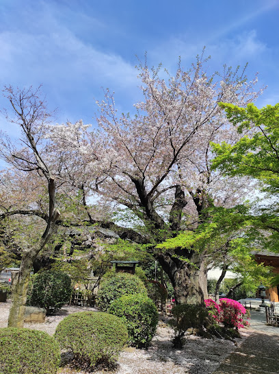 Setagaya Castle Site Park