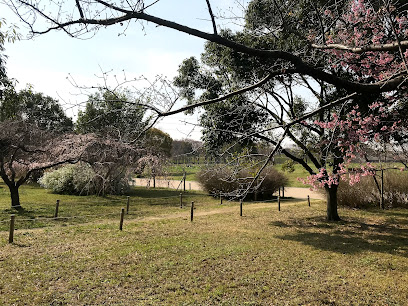 桜の園