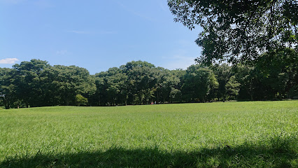 Jiyu Hiroba Park