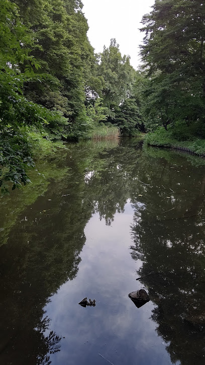 Ichiniro Pond
