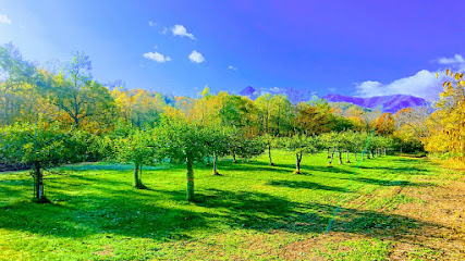 SAPPORO FRUIT GARDEN