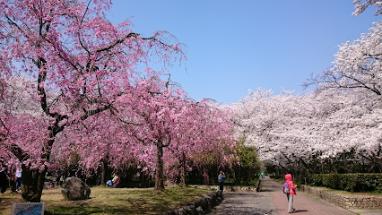 Shonai Ryokuchi Park