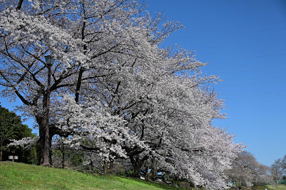 Omiya Second Park