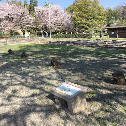 武蔵国分尼寺斜めの幢竽跡