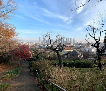 Hiyoshi Park