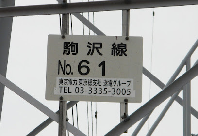 代田の丘の61号鉄塔