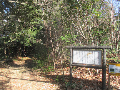 八事山 暖地広葉樹林