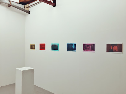 DEHAIRI projects