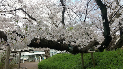 Yamate Park