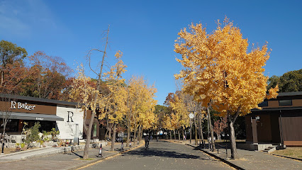 Citizen's Forest